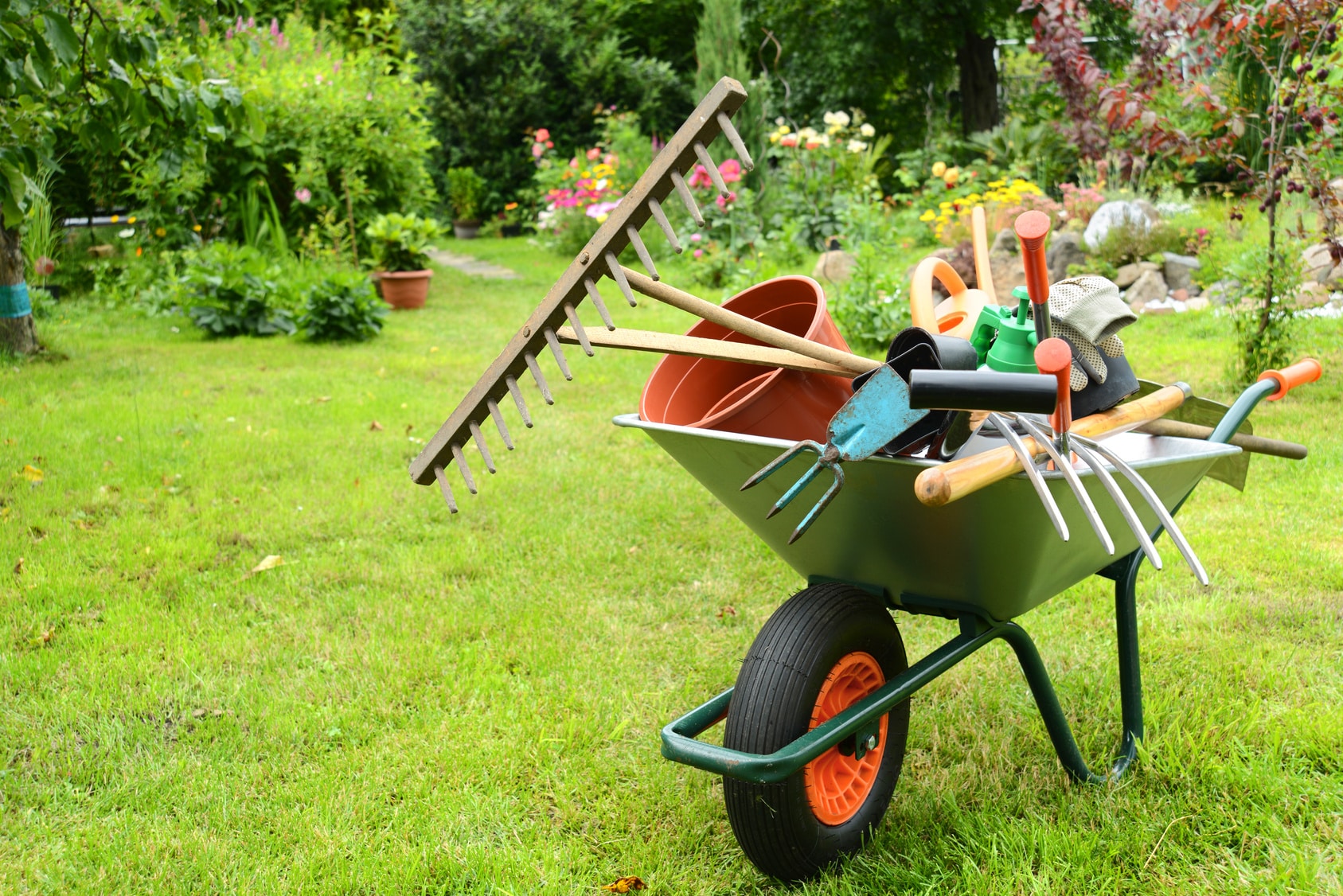 5 conseils pour bien entretenir son jardin 5 conseils pour bien entretenir son jardin